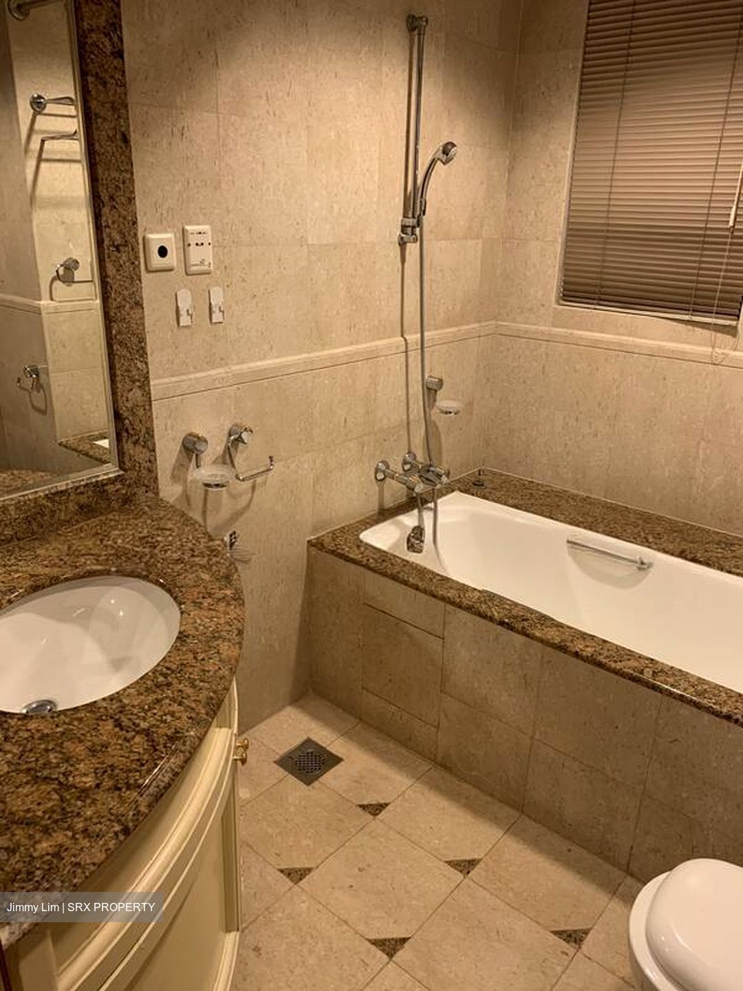 Valley Park (D10), Condominium #509272281